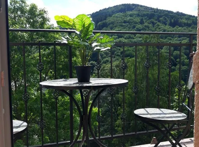 Apartmany Marie Jachymov